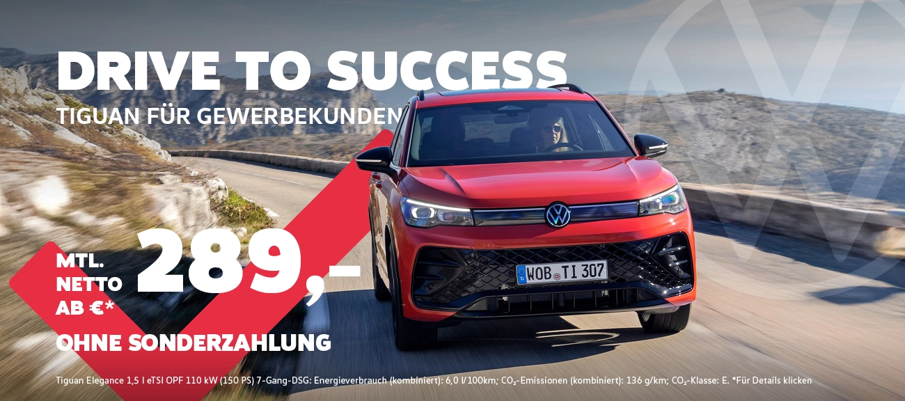 Tiguan Gewerbe Boost